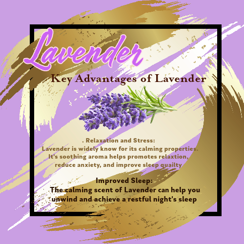 Lavendar Bliss